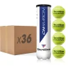 Tecnifibre CHAMPION : CARTON DE 36 TUBES DE 4 BALLES DE TENNIS> Performance Pression