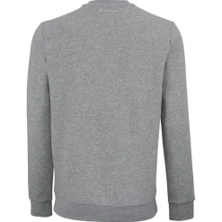 Tecnifibre TEAM SWEATER SILVER><noscript><img width=